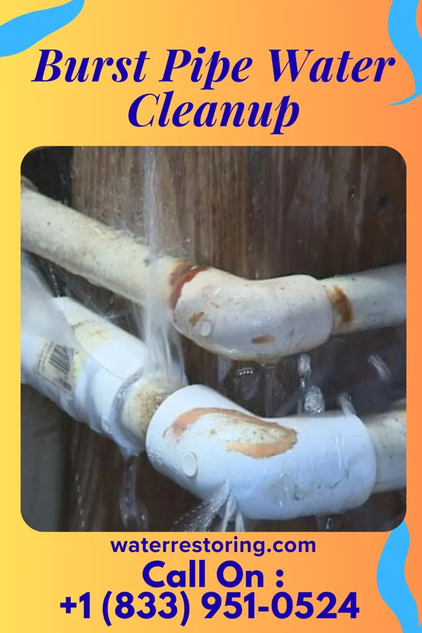 Burst Pipe Water Cleanup in Narragansett Pier, RI