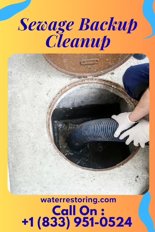 Sewage Backup Cleanup in Narragansett Pier, RI