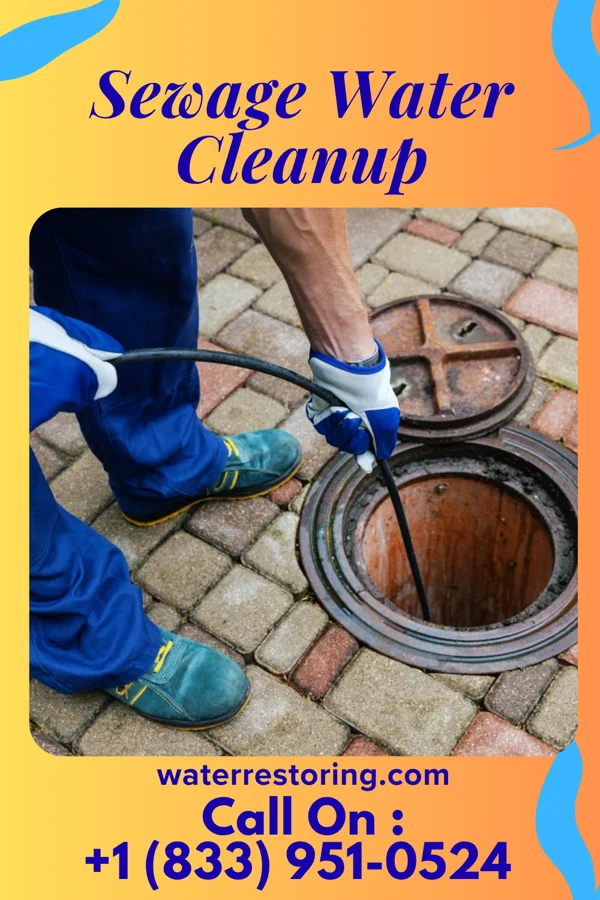 Sewage Water Cleanup in Narragansett Pier, RI